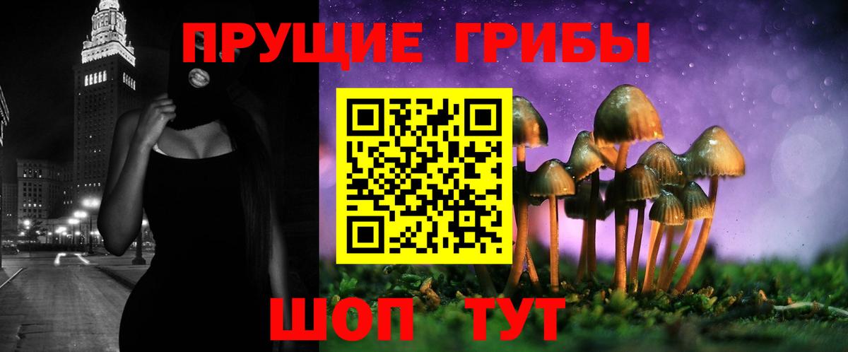 Галлюциногенные грибы Psilocybine cubensis Ишим