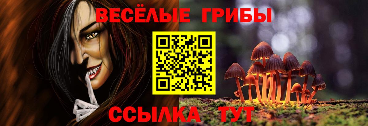 Ишим  Галлюциногенные грибы Cubensis  Вход с VPN 