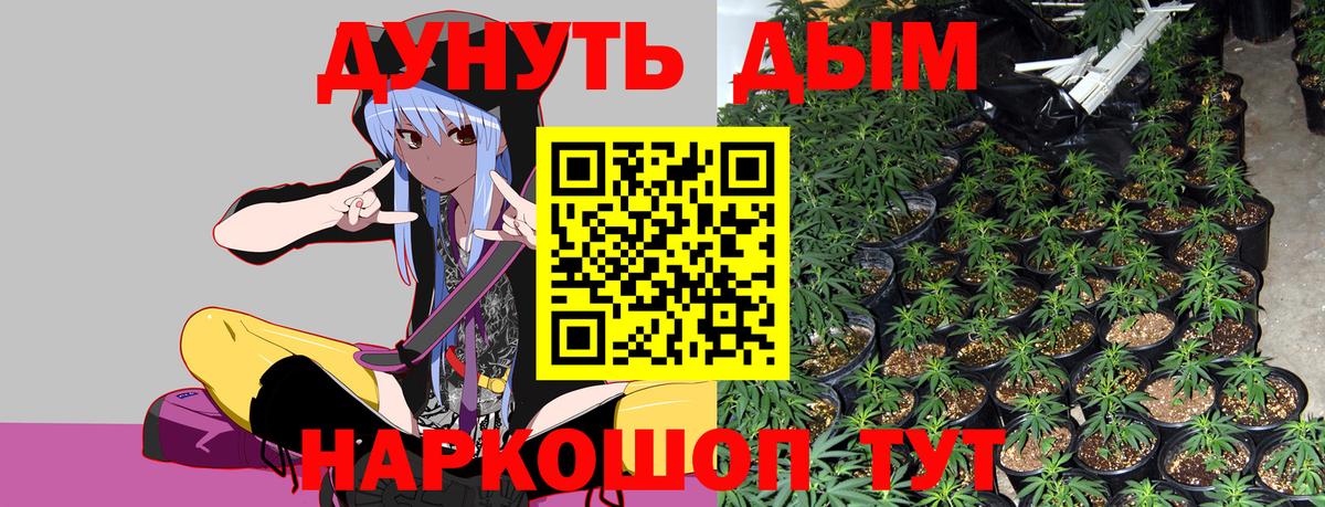 Ишим  Шишки марихуана семена  Вход с VPN  Бошки марихуана планчик  Шишки марихуана планчик 